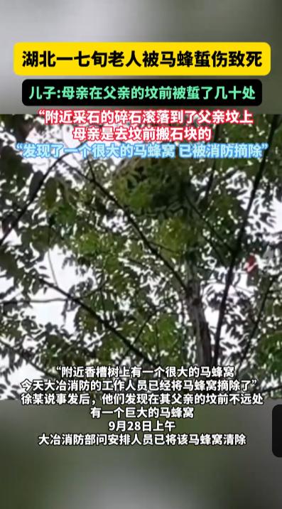 “悲剧还是发生了！”9月27日，湖北大冶，一七旬老人在丈夫坟前搬运滚落的石块时被