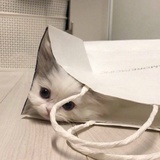 云外说说科技