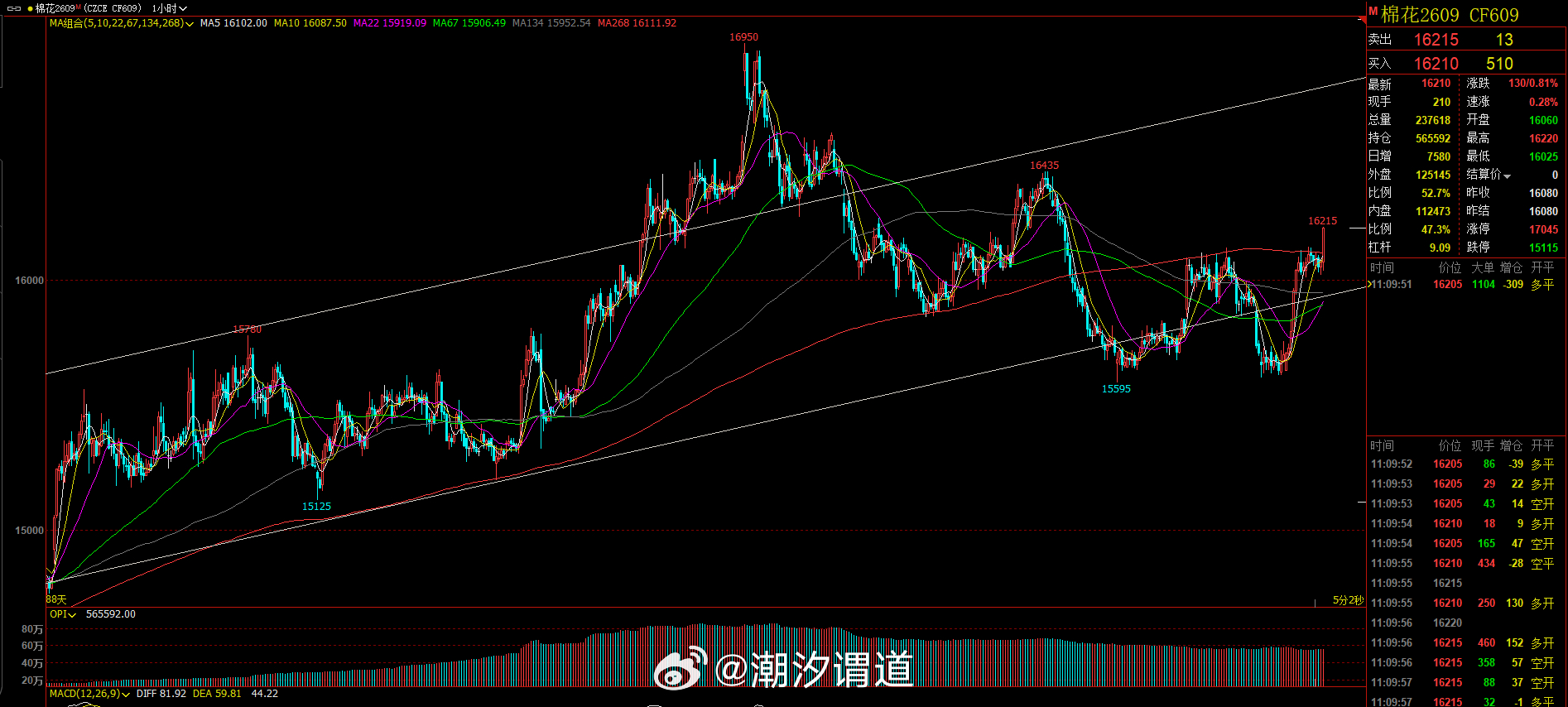 棉花站稳16260-16430将延续震荡反弹但是可能第一次测试的时候会有个小回踩