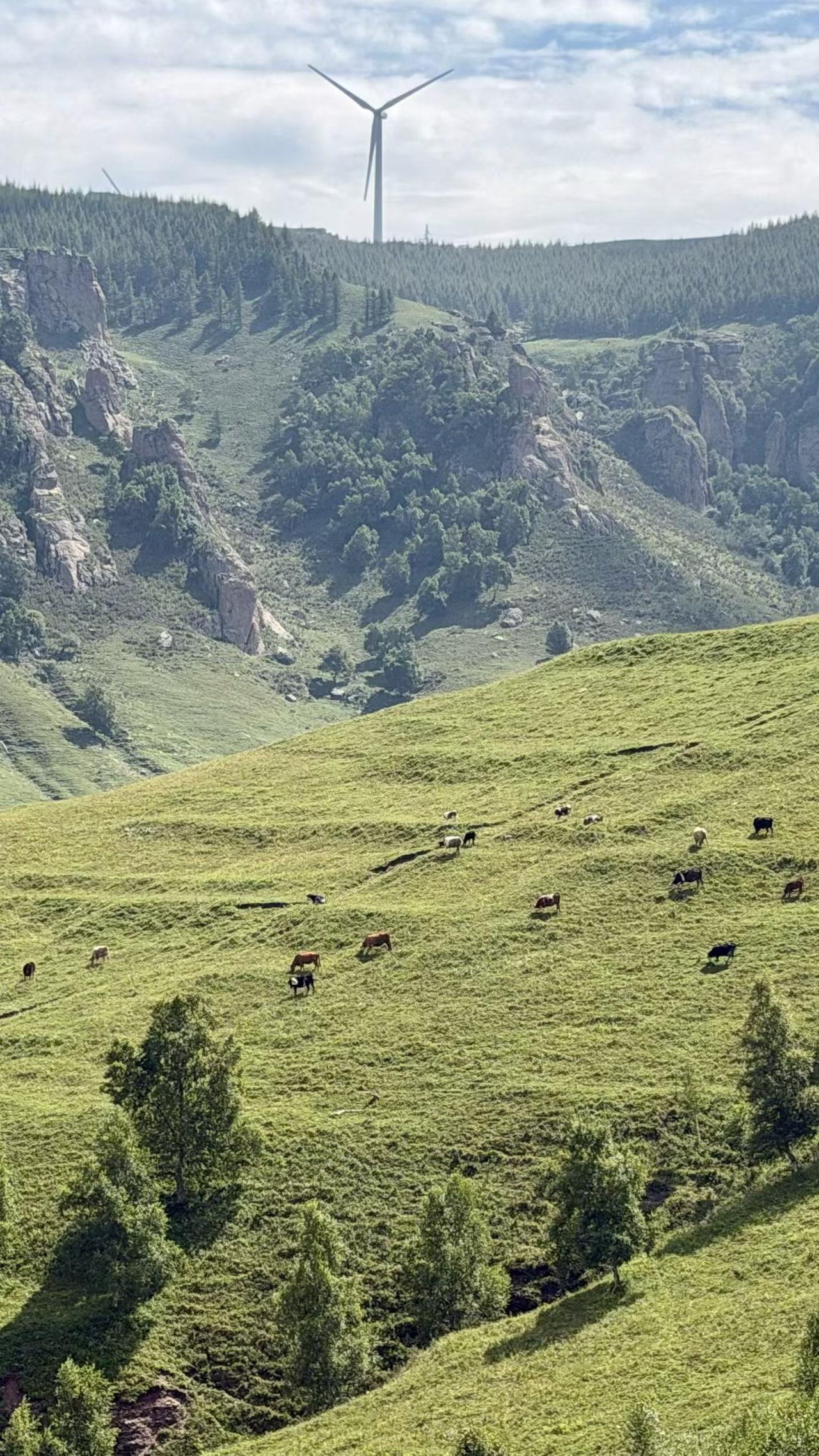 分享美景，共赏美好