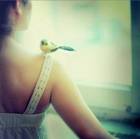 Because strange, therefore is brave, bec
