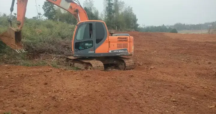 欧江岔镇：200余亩闲置林地焕新生 多元模式解锁绿色振兴密码