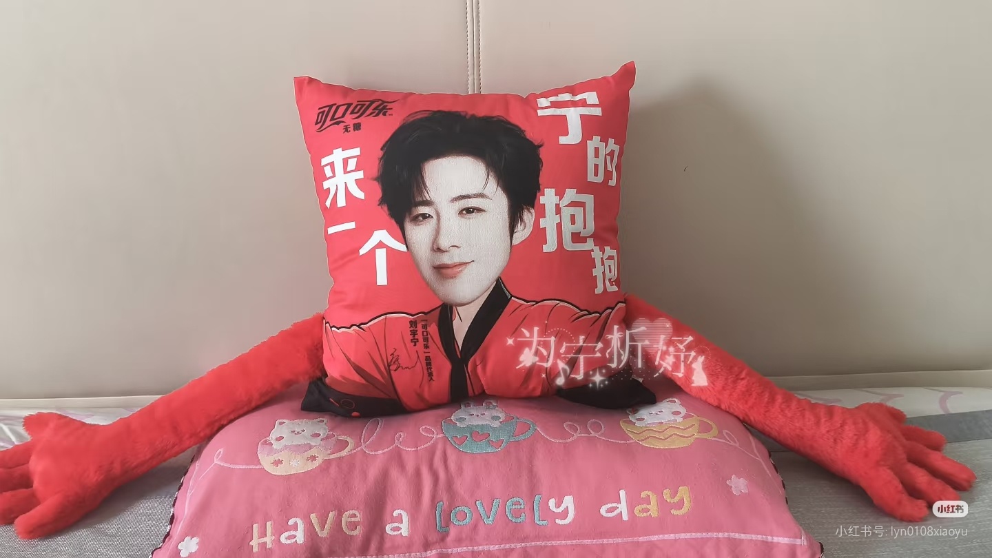 这个好啊！可以放在工位上用，每天上班就享受宁的抱抱，搬🧱心情都美美哒。刘宇宁可
