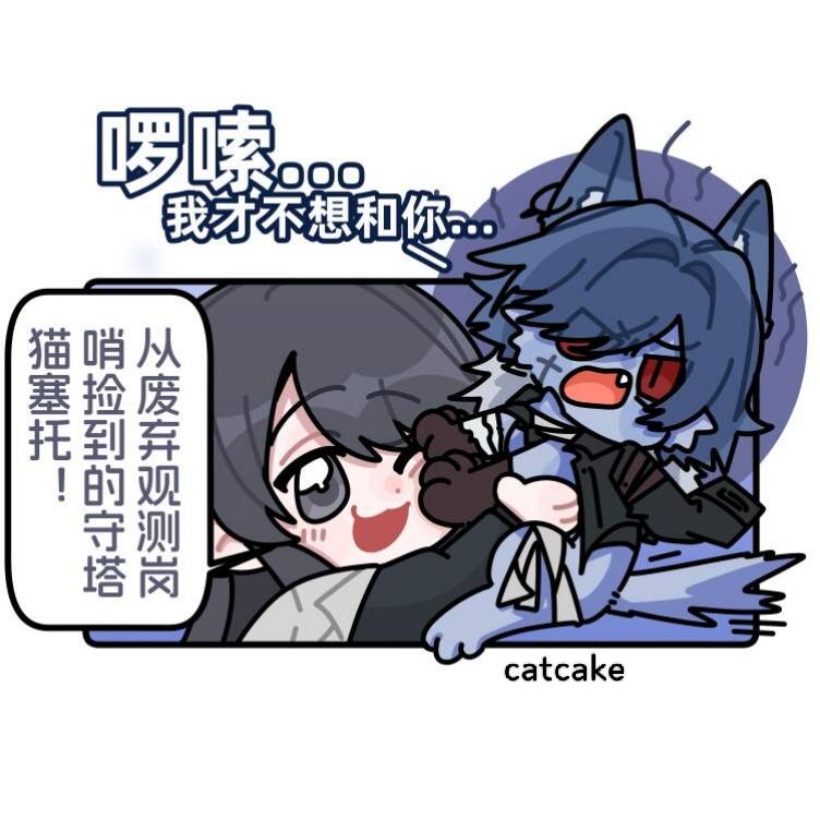 捡了一只赛托咪，她想和我回家。