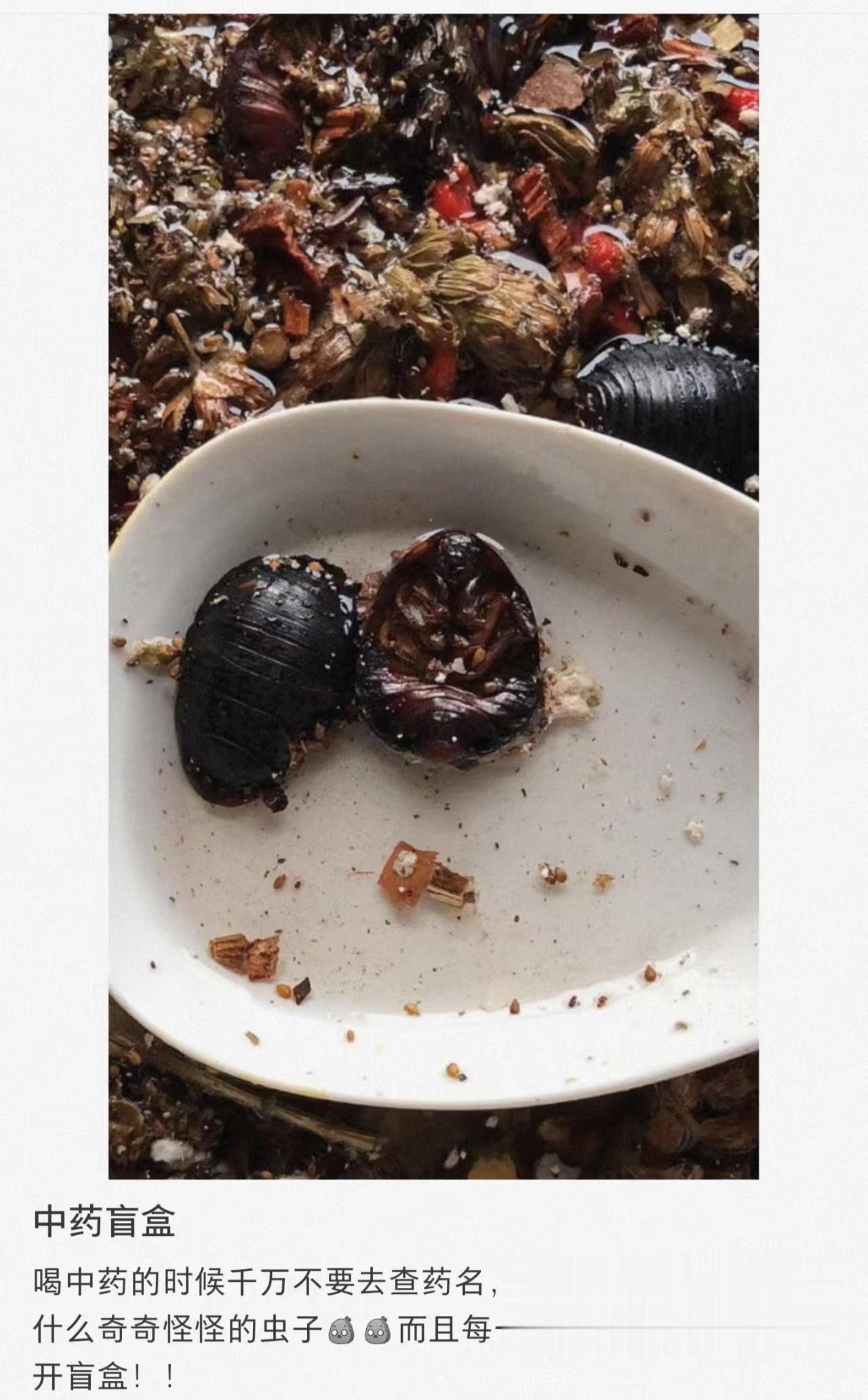 世间万物皆可入药，知道后可不一定喝得下去了 ​​​
