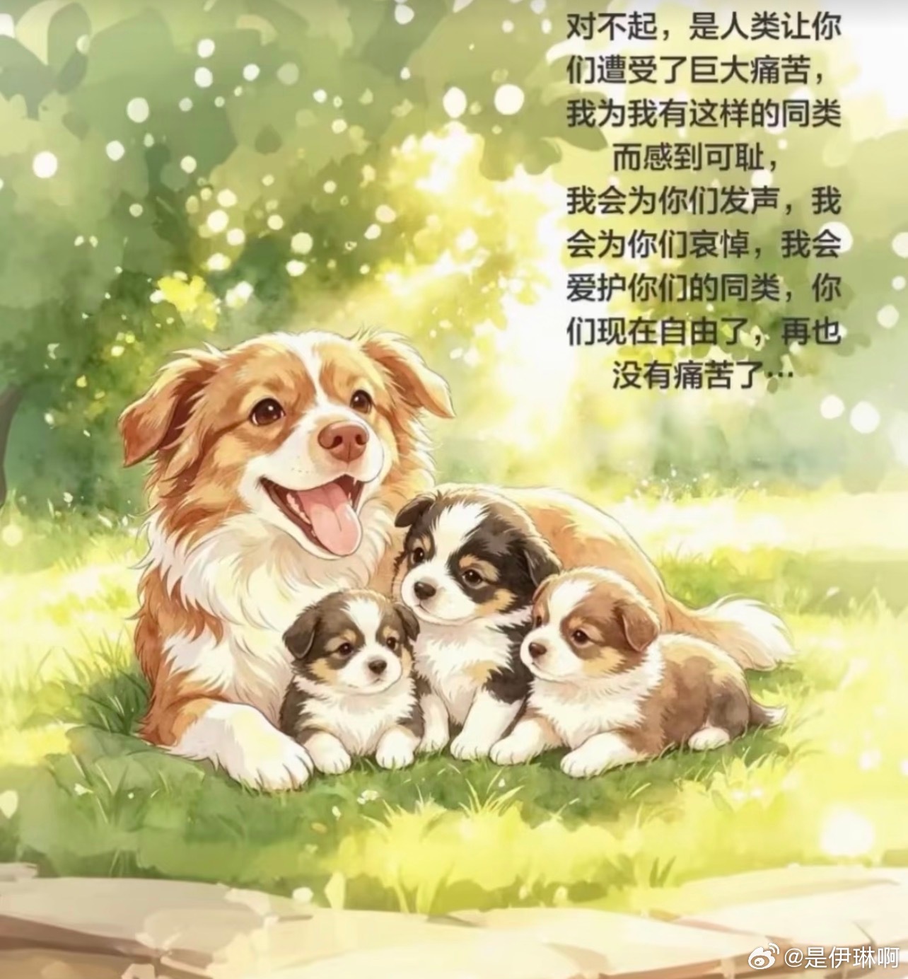 我不能理解也不能原谅那些对无辜小动物痛下杀手的人，呼吁反虐待动物立法！为动物发声