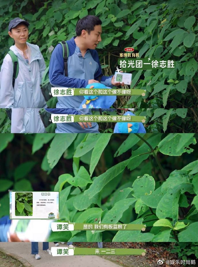 中国式攀比从来不分场合 看完这段我直接笑到打鸣！一群人出发前围在一起唠嗑，说今天