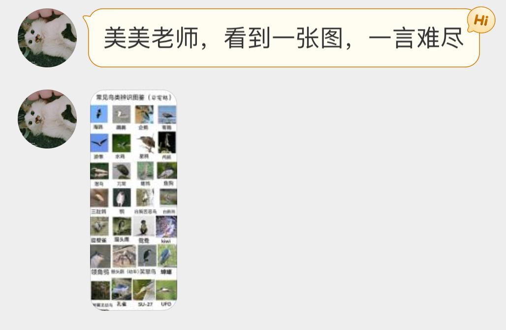 百变夜鹭！ ​​​