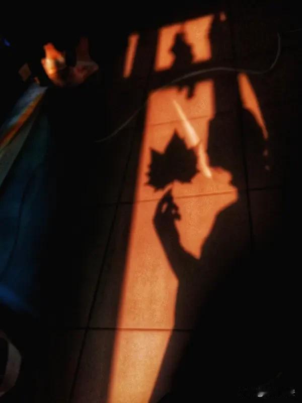 我摔碎了盛满清凉月光的酒杯
那瘦长的影子醉倒在城墙的青砖上
转而被夜色吹散
落在