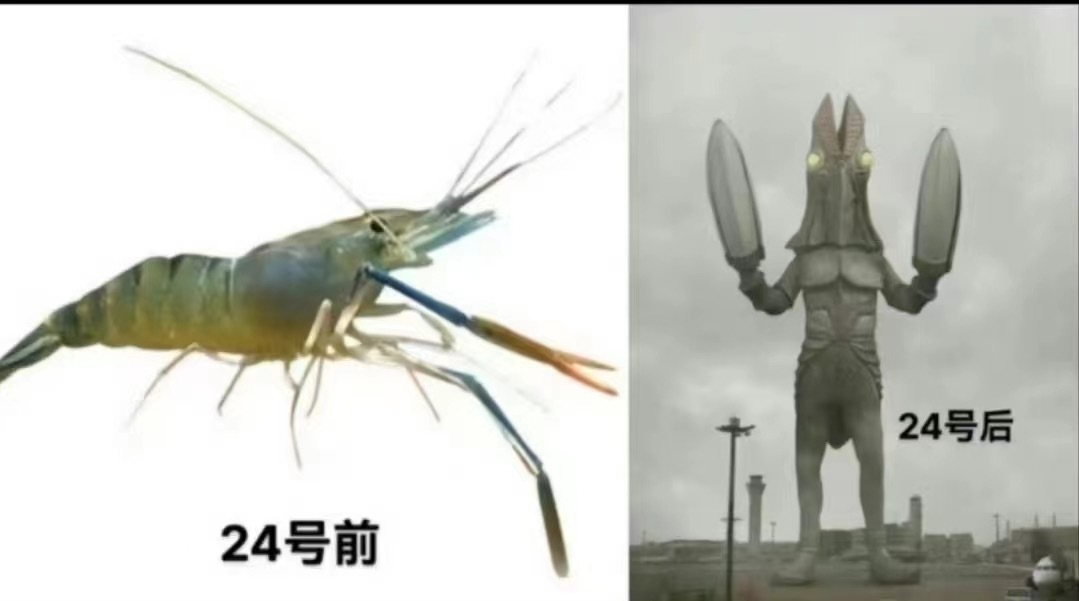 小龙虾变青蟹 尼玛#meme##emptyingtime08##日本核污染水下午