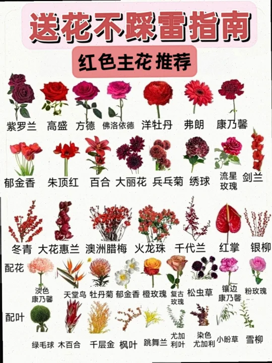 真后悔没早点看到这样的红色系搭配攻略❗