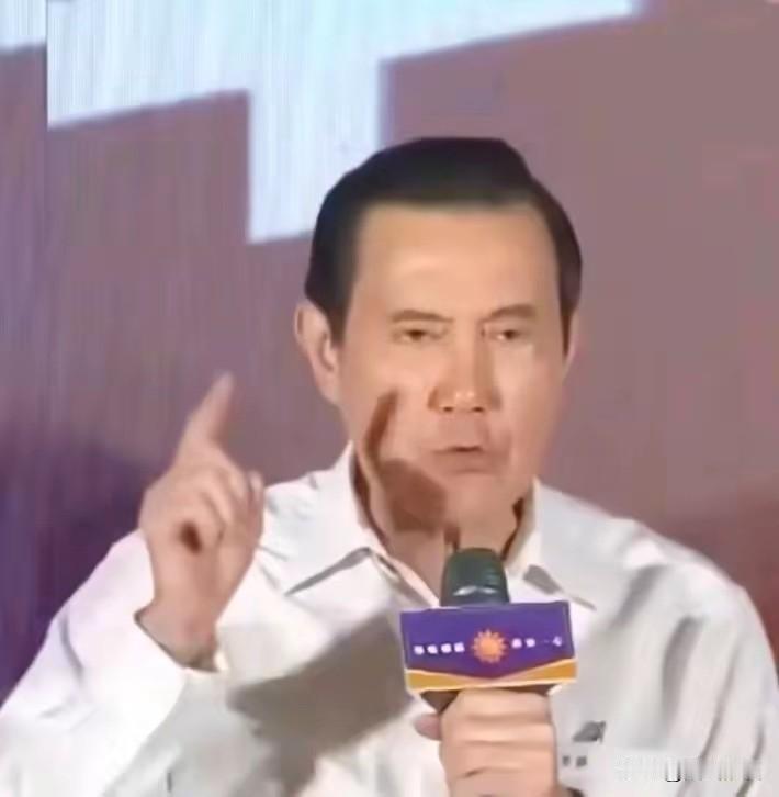 马英九终于讲出了一句实在话，两岸问题理应由两岸自己谈，不可能，不应该假手他人
