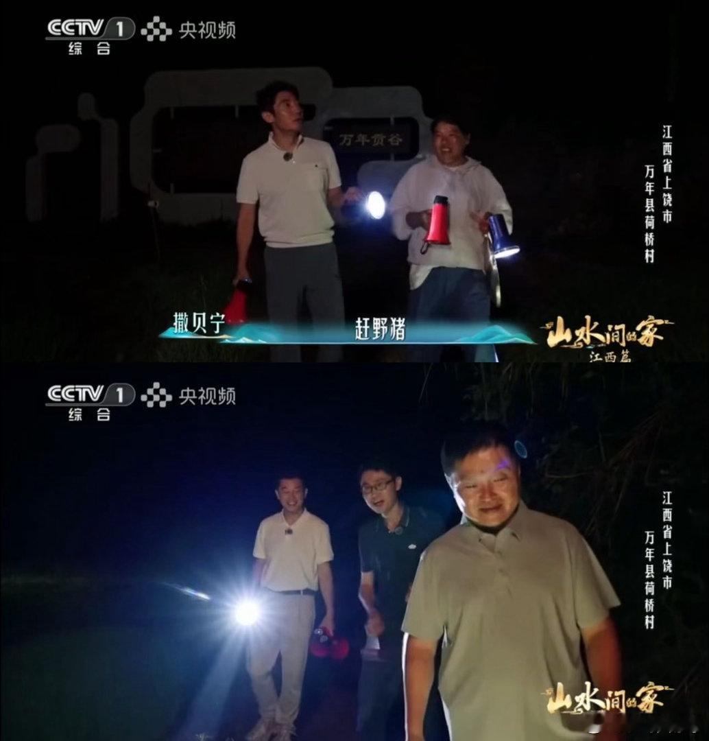 撒贝宁沙溢半夜出门赶野猪 野猪这辈子也没这么有排面过吧？能听到央视名嘴的专属方言