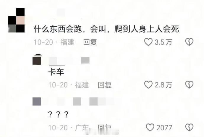 太好了是烂梗我们没救了 