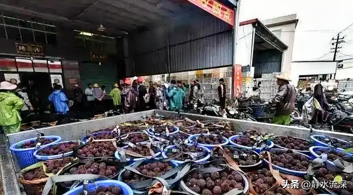 一颗杨梅引发的信任问题，比添加剂本身更糟。

“泡药杨梅”被曝光当天，外地收购商