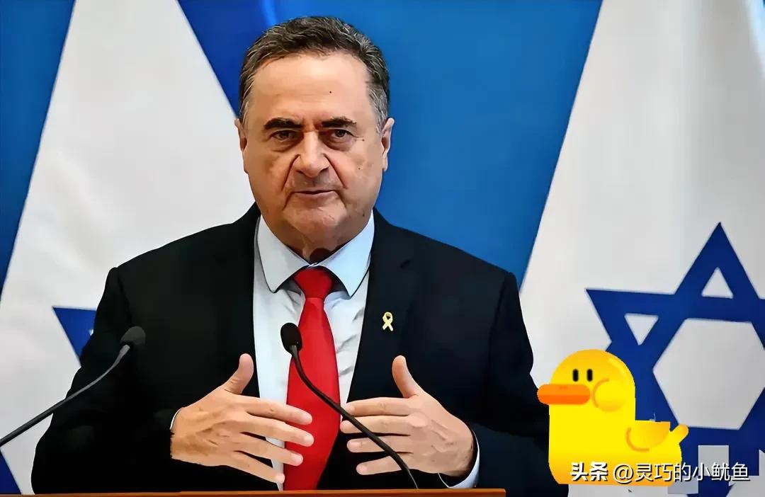 就在刚刚！

以色列国防部长卡茨在11月7日宣布，以军已启动加沙地道摧毁行动。哈