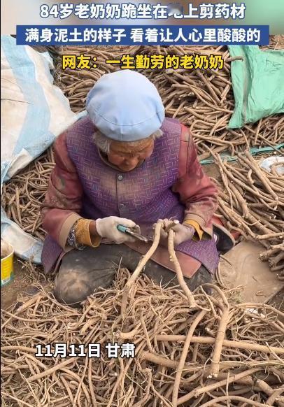 看哭了！一天80元，84岁奶奶跪在地里，剪黄芪挣钱！土和泥，满身都是！但凡儿女孝