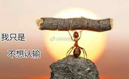 11月4日收盘：大盘缩量继续震荡下行，收盘3960.19跌16个指数点，全场16