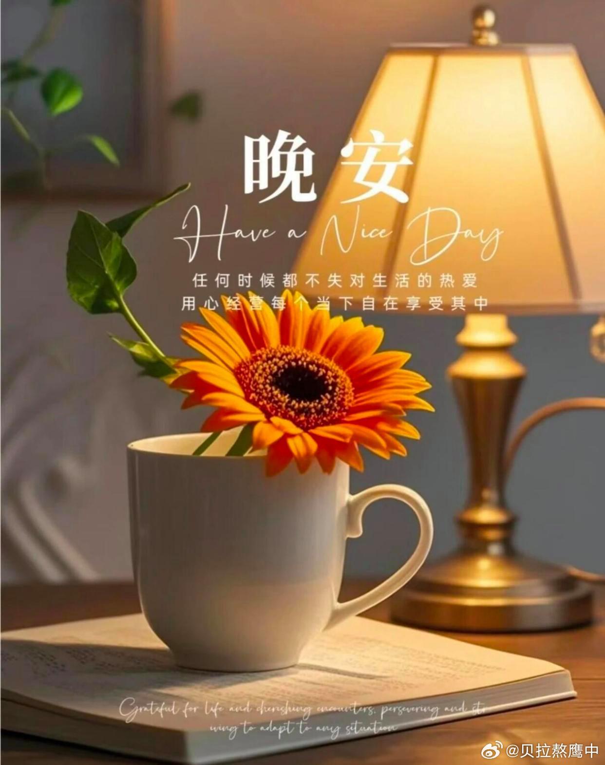 晚安 世界慢慢安静下来，褪去一身浮躁与疲惫。生活不必步步紧绷，人生无需时刻追赶。