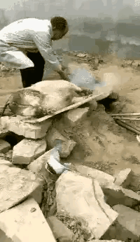 谁说的死猪不怕开水烫的，这都被烫活了[泪奔]