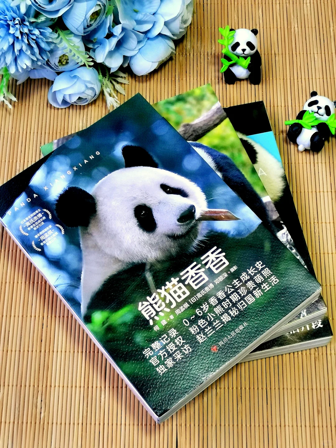 听说又可以领熊猫了？这次领的是香香公主！