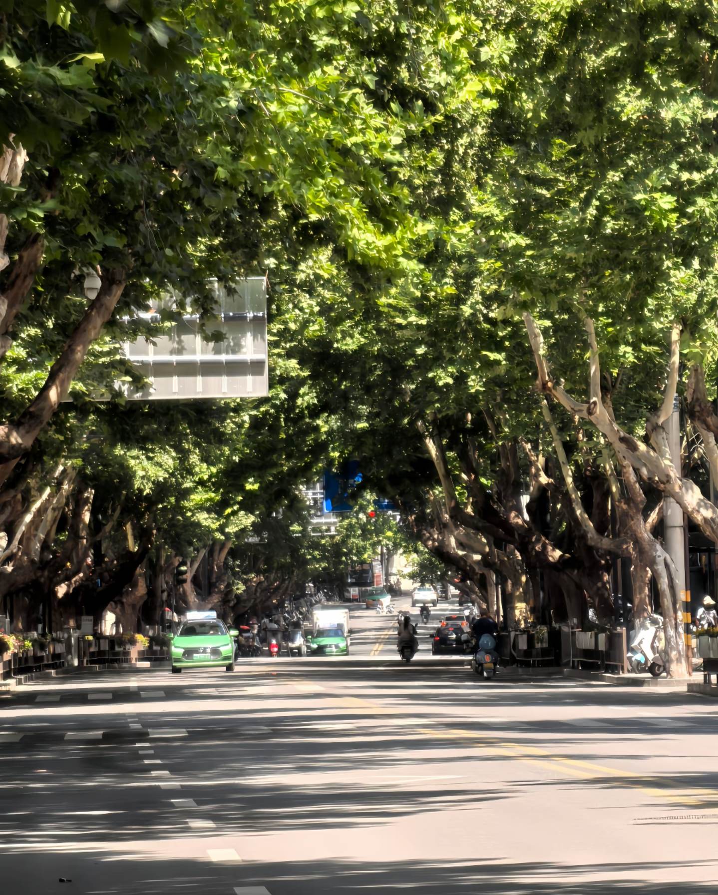 乱评吧 我猜不过两分钟一定有人回你