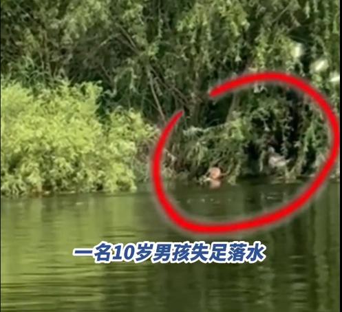 悲剧终究还是发生了！7 月 18 日下午，河南许昌，28 岁男子郑晨阳带着年仅 