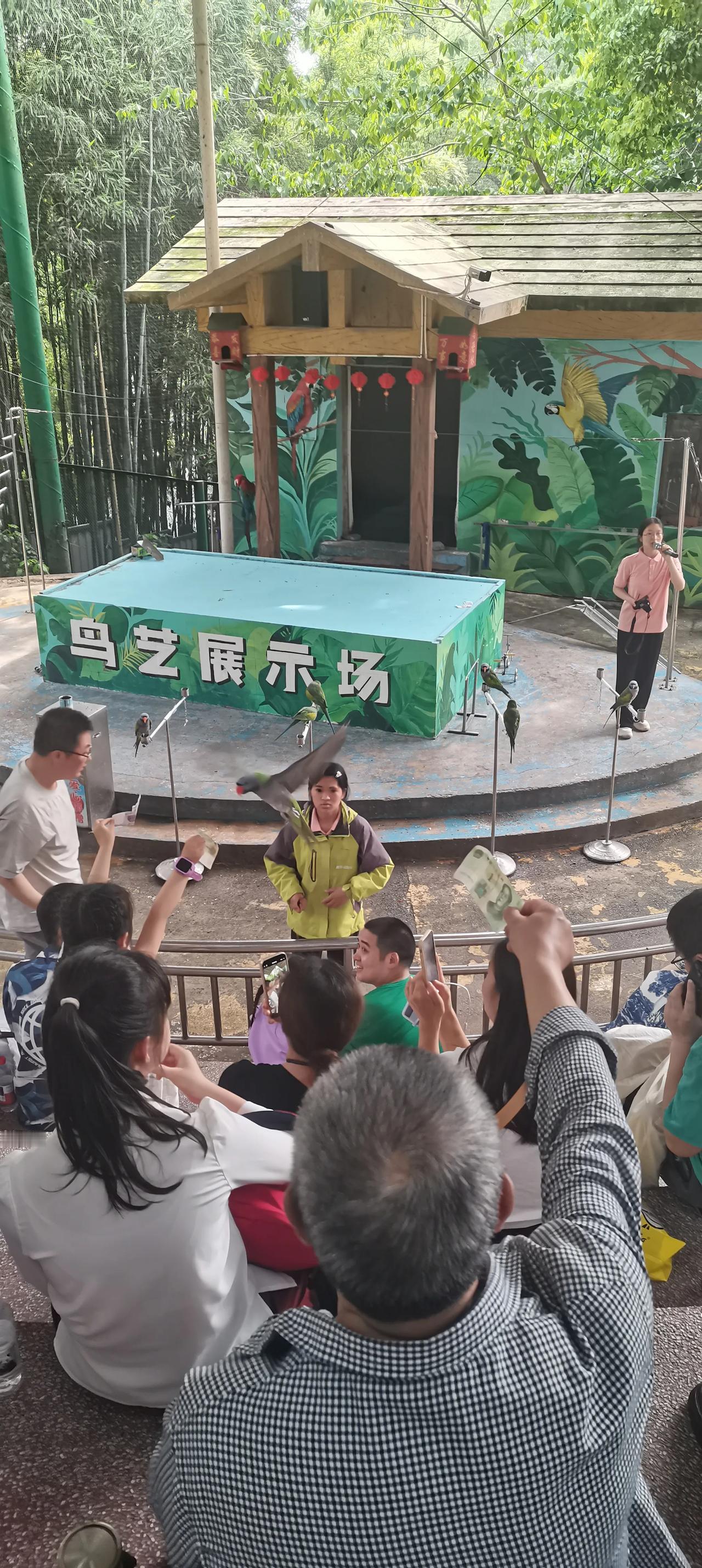 重庆动物园最容易被游客朋友忽略的景点——鸟语林
所有人都知道重庆动物园是世界上饲