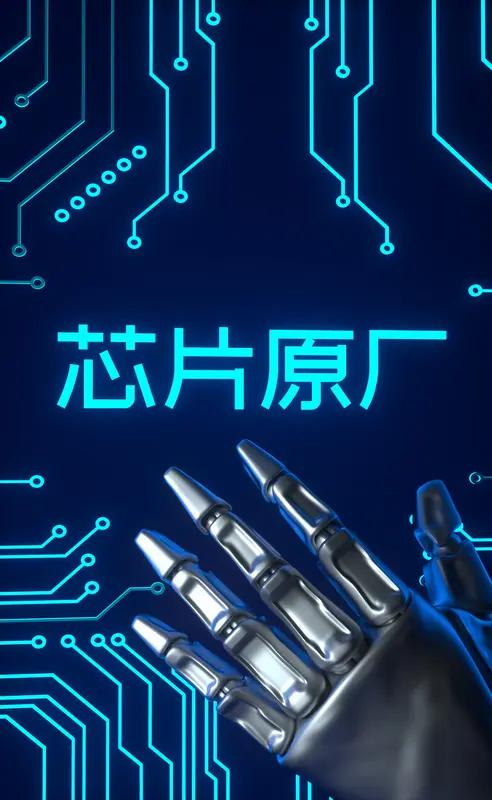 同时，学习先进经验还体现在管理模式和市场运营上。借鉴国外成熟的芯片企业管理经验，