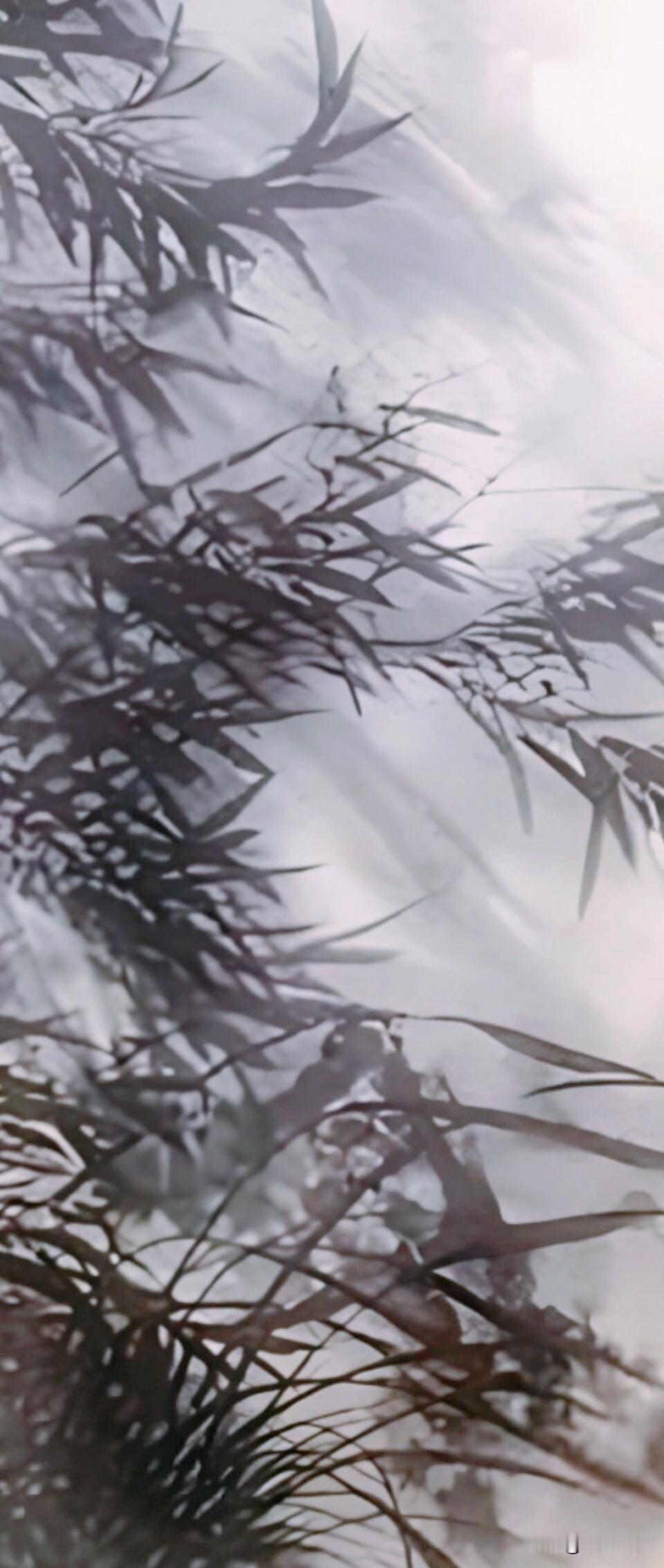 横空卷浊尘
风狂碧叶新
尽舒凌云志
坚韧抱素身
[比心]