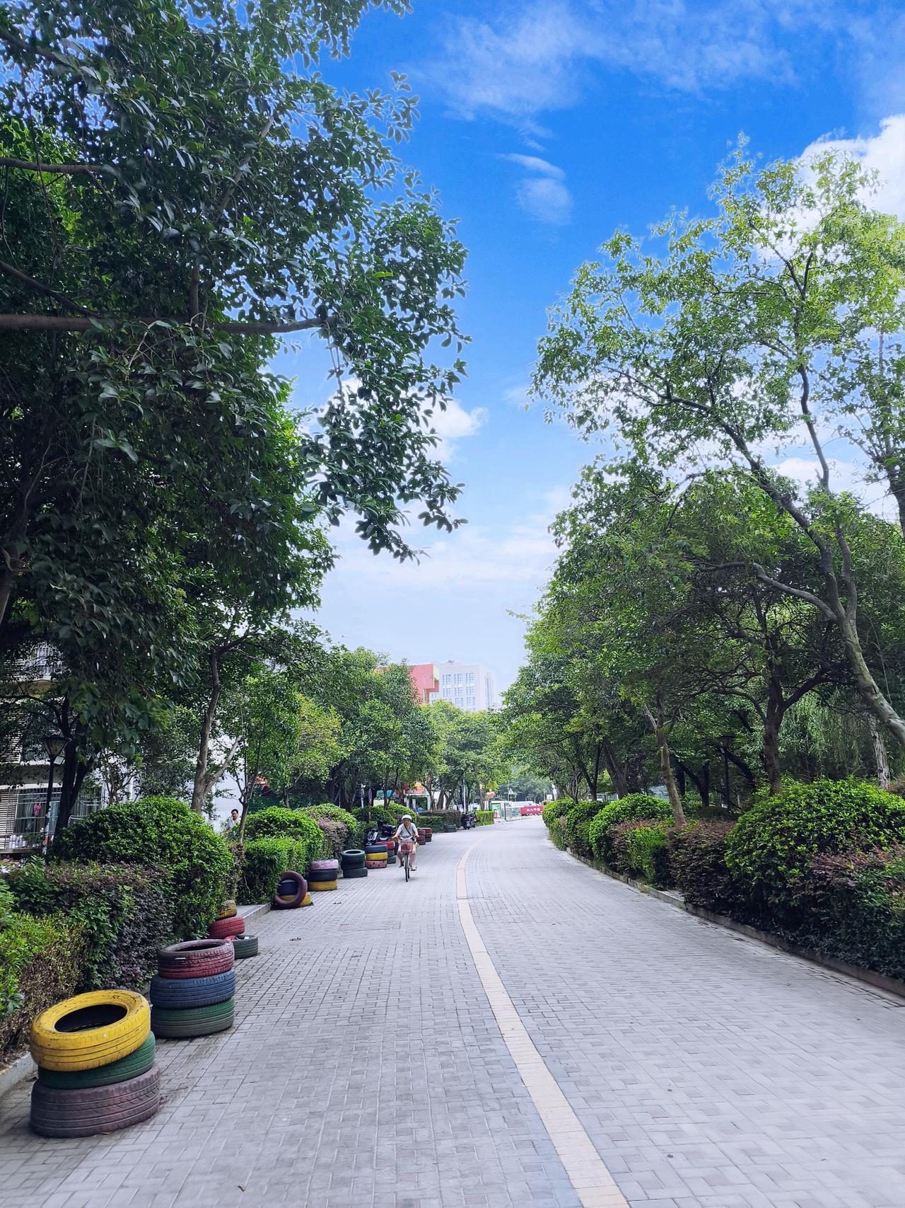 不过在这科技洪流中，我们也得把心放宽，凡事看淡。生活不只有科技的冰冷，更有阳光的