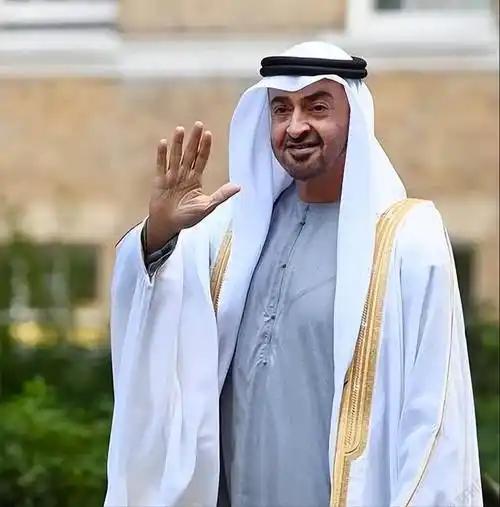 60年情谊说断就断！阿联酋果断退出欧佩克及“欧佩克+”，三大隐情曝光，石油联盟要