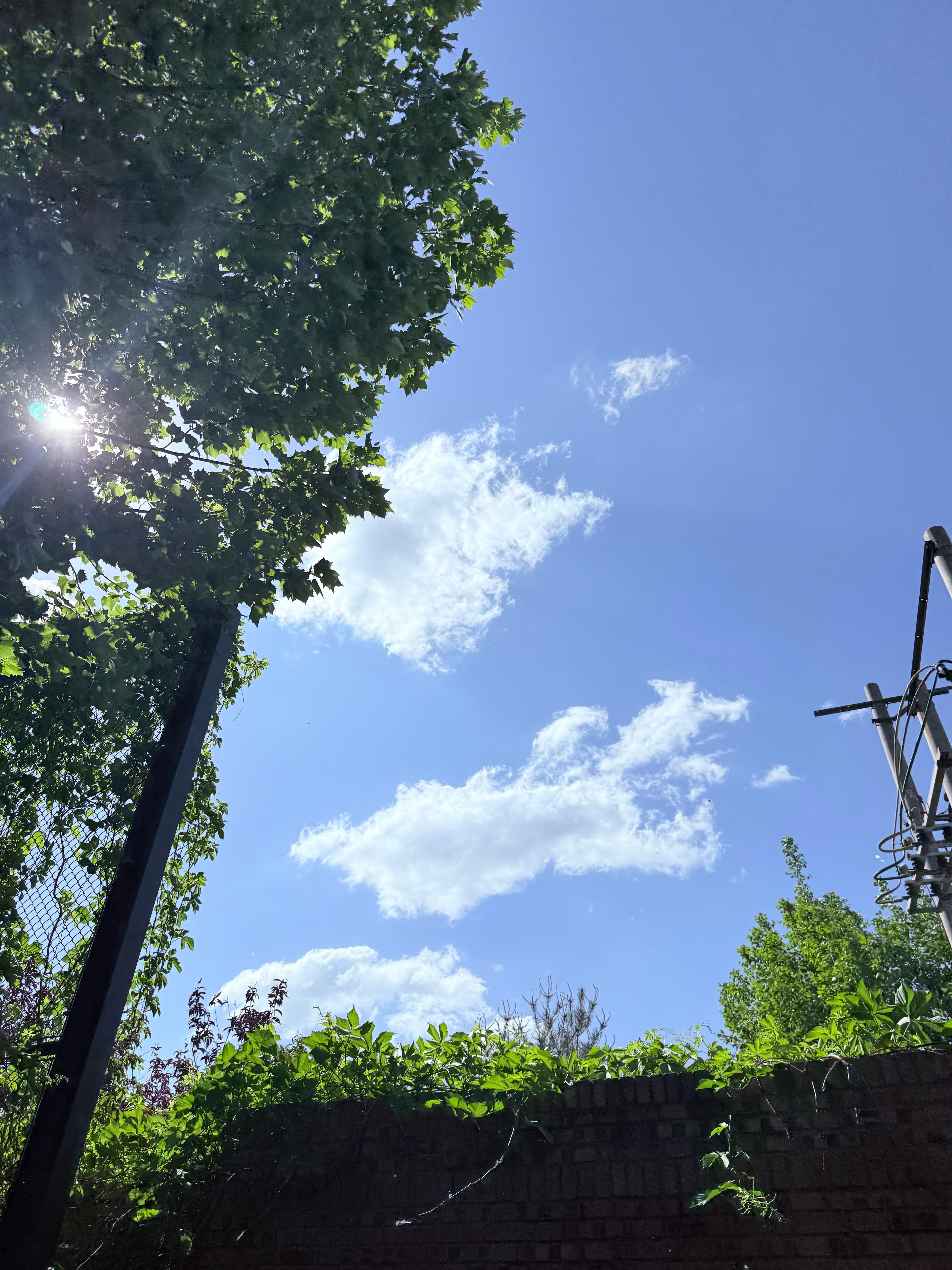 图一蓝天白云岁月静好图二沙尘漫天乌烟瘴气北京在最舒服的春天带给大家的是柳絮 沙尘