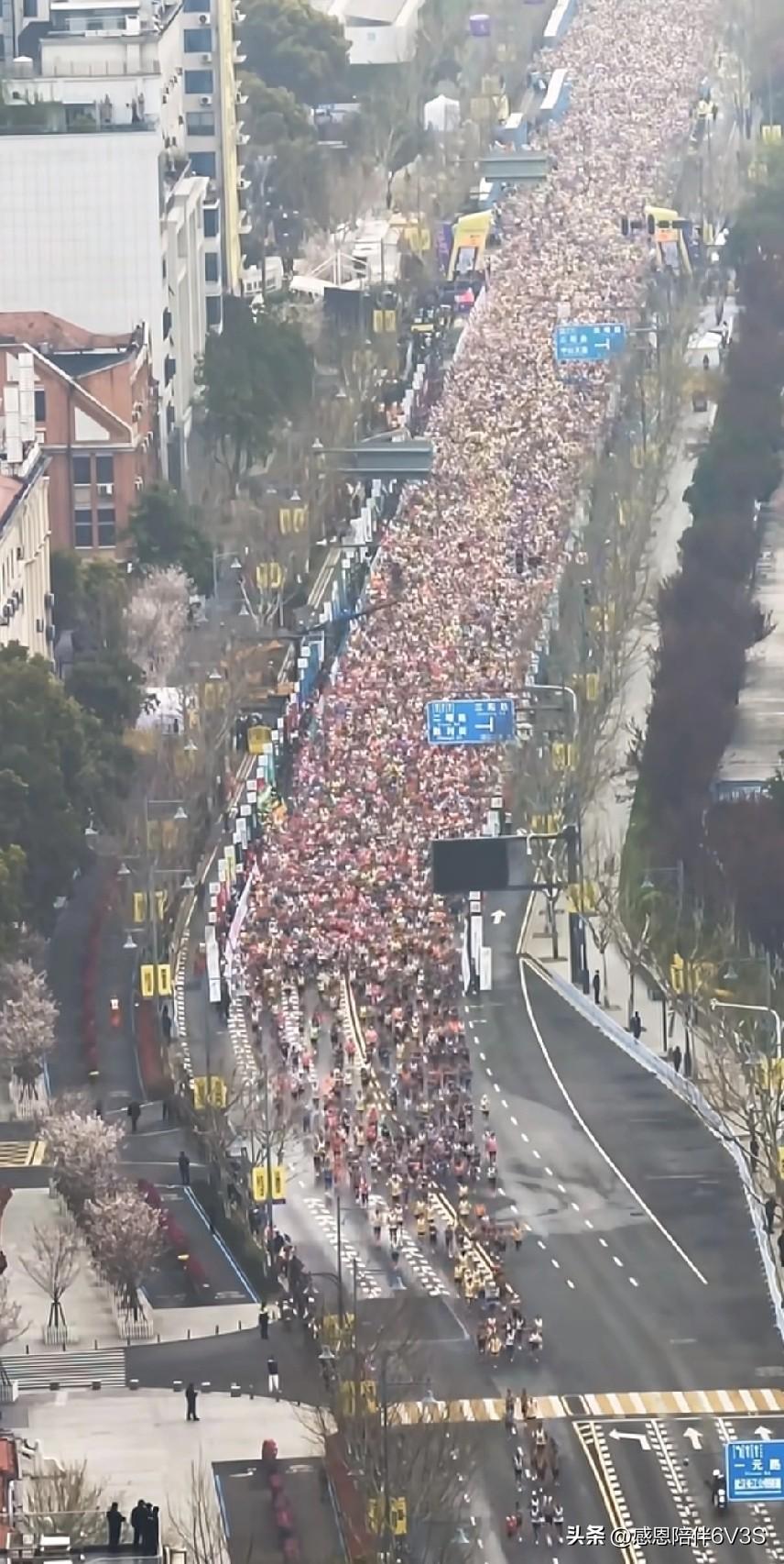 哇，武汉马拉松这阵仗也太壮观了吧！密密麻麻跟下饺子似的，这还能跑得开吗？我瞅着都