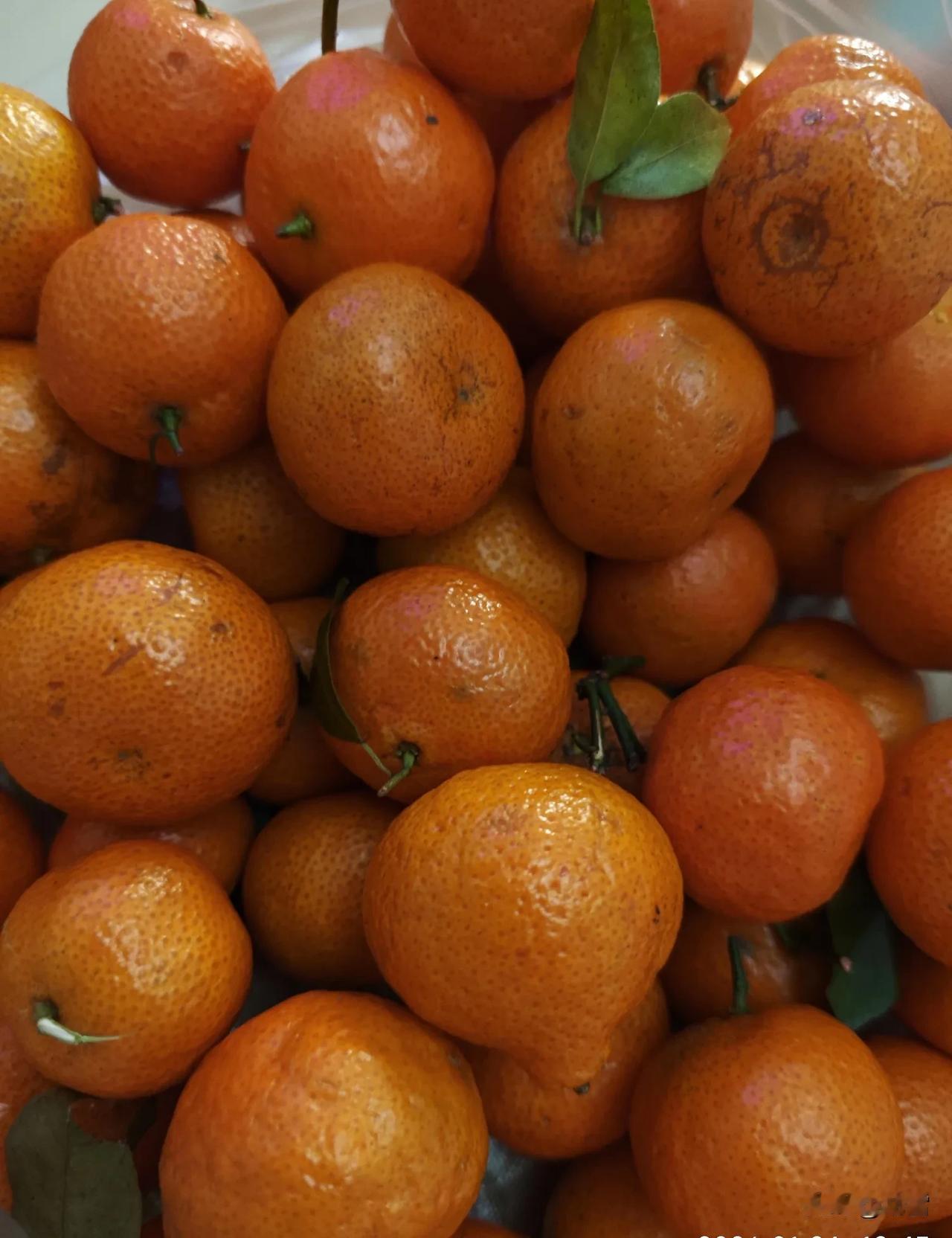 10元4斤，

车前放着个大纸牌子，

一看这字，就是临时写的！

昨晚，小区门