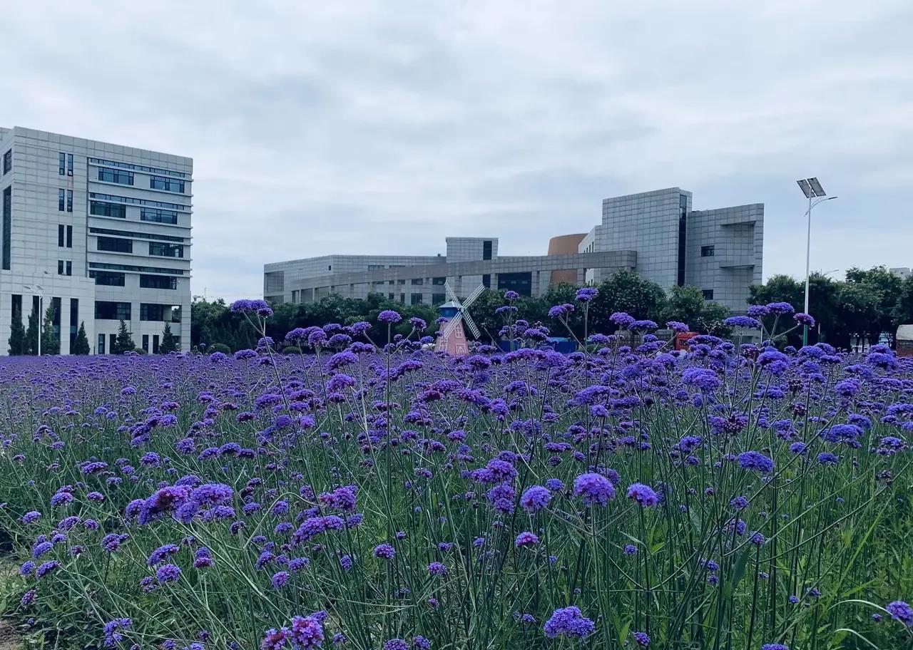 内向的人能做什么工作

在喧嚣的世界里，内向常被误解为缺陷。然而，静水深流，内向