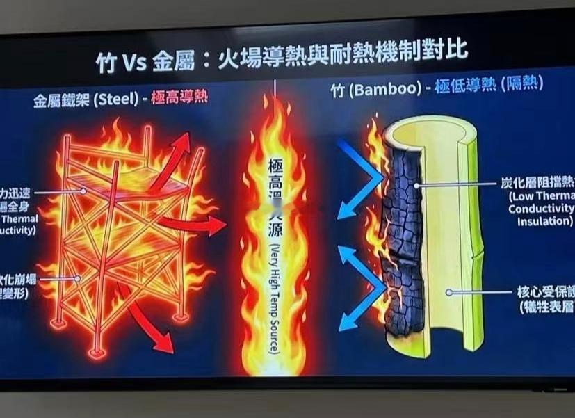 反智成这个样子，以后建议改成竹车，用竹皮做电池或者油箱的外壳。这样永不燃烧 