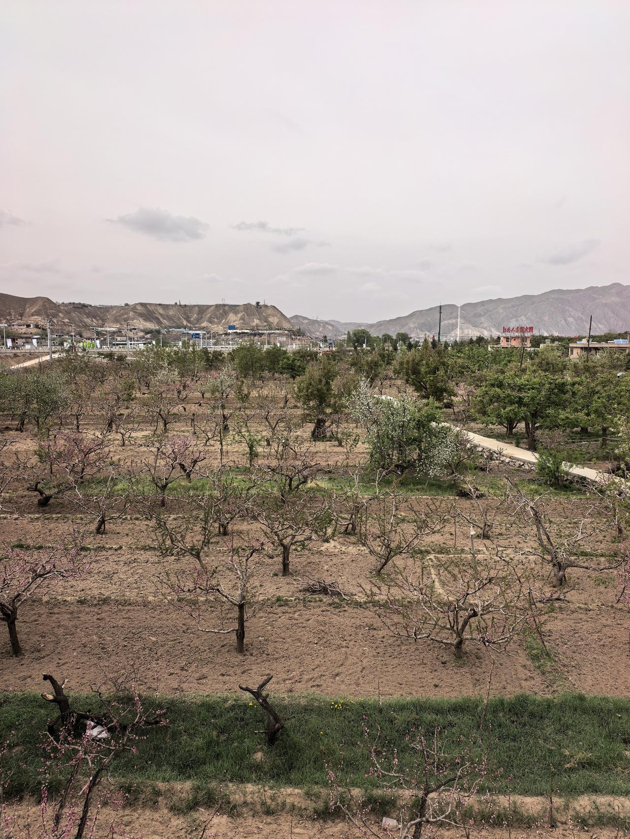 华工科技A股本周走势分析及展望

一、本周涨跌概览

本周华工科技呈现高位震荡格