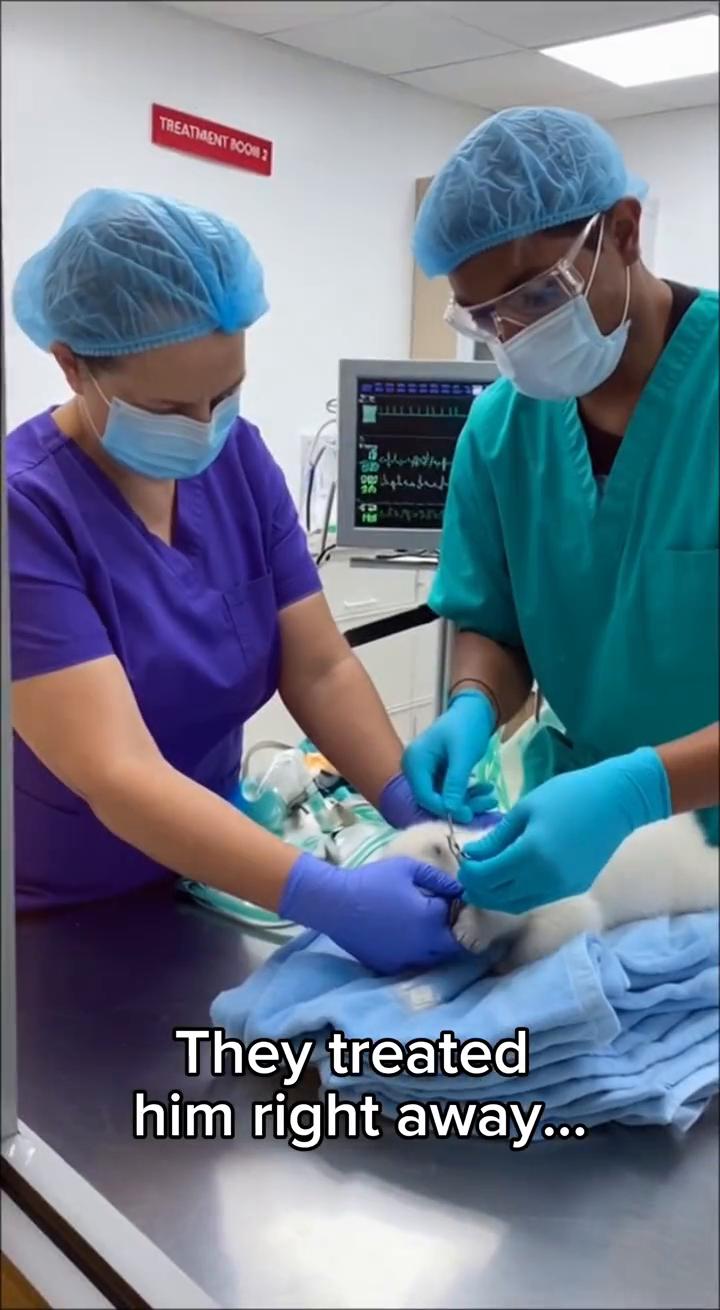 I couldn't believe what I was seeing.
I 