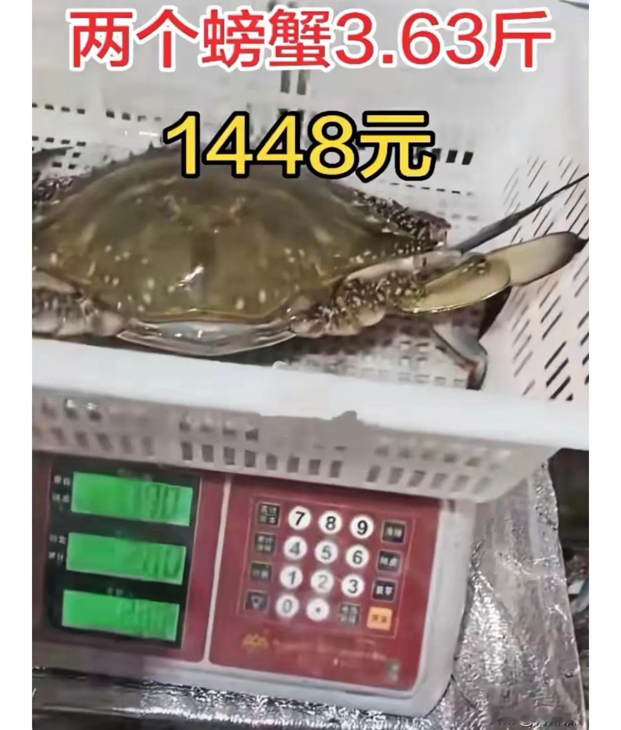 莱州梭子蟹久负盛名，一个字就是贵！两只梭子蟹3.63斤，1448元，四百一斤，堪
