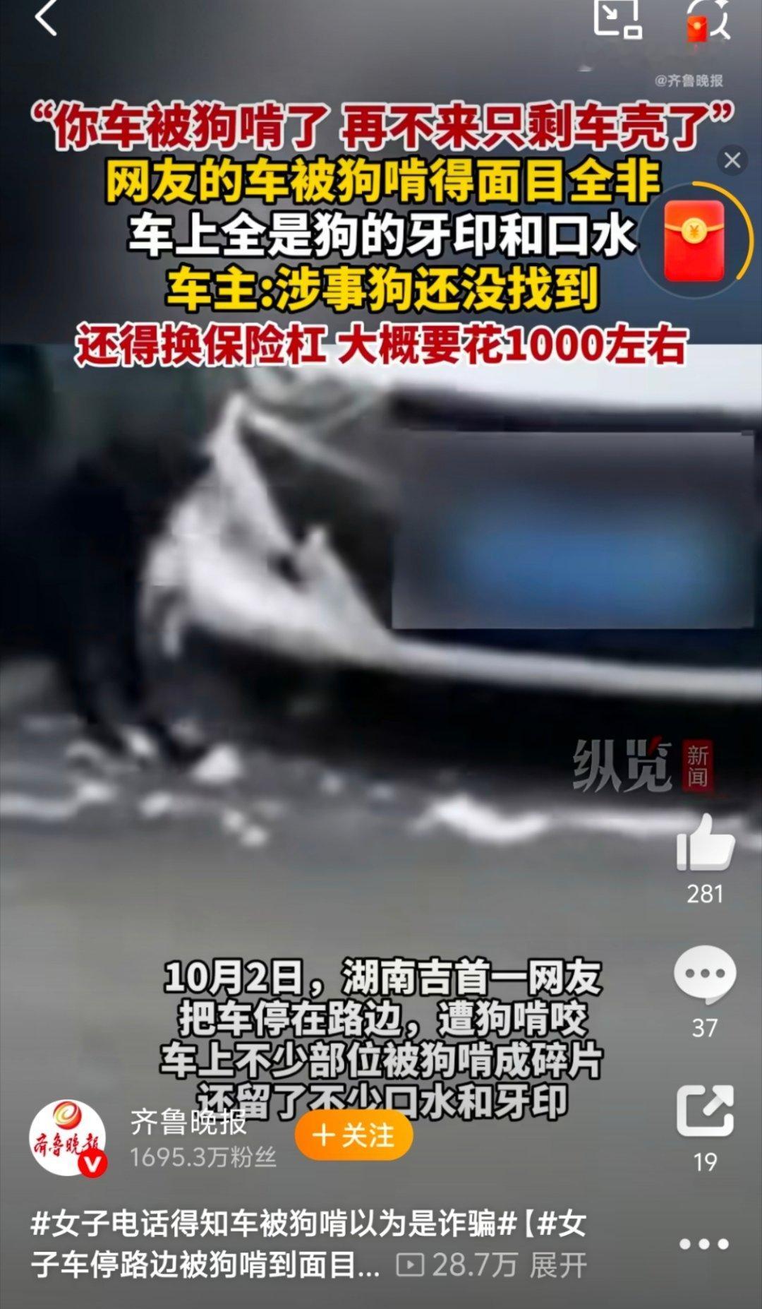 女子电话得知车被狗啃以为是诈骗太可恶了，死狗，打它！！！ ​​​