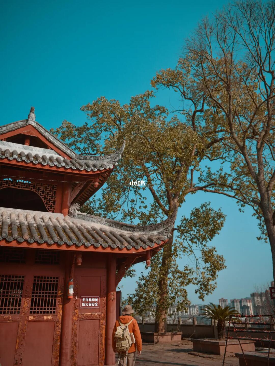 清泉神树古碑，登临杜甫也“意惘然”的古寺