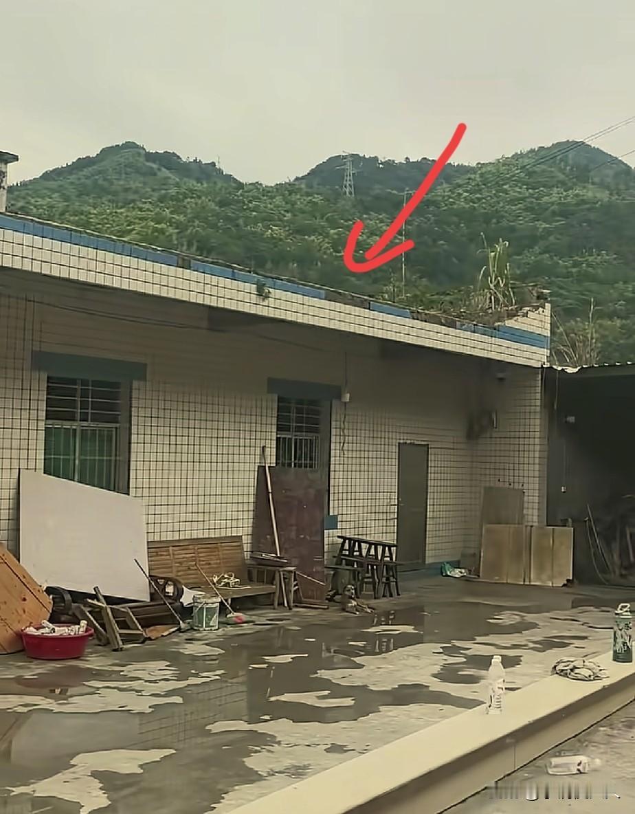 升学宴，墙体倒塌事件后续，

主家堂弟，对外透露一个令人欣慰的消息：当地部门先行