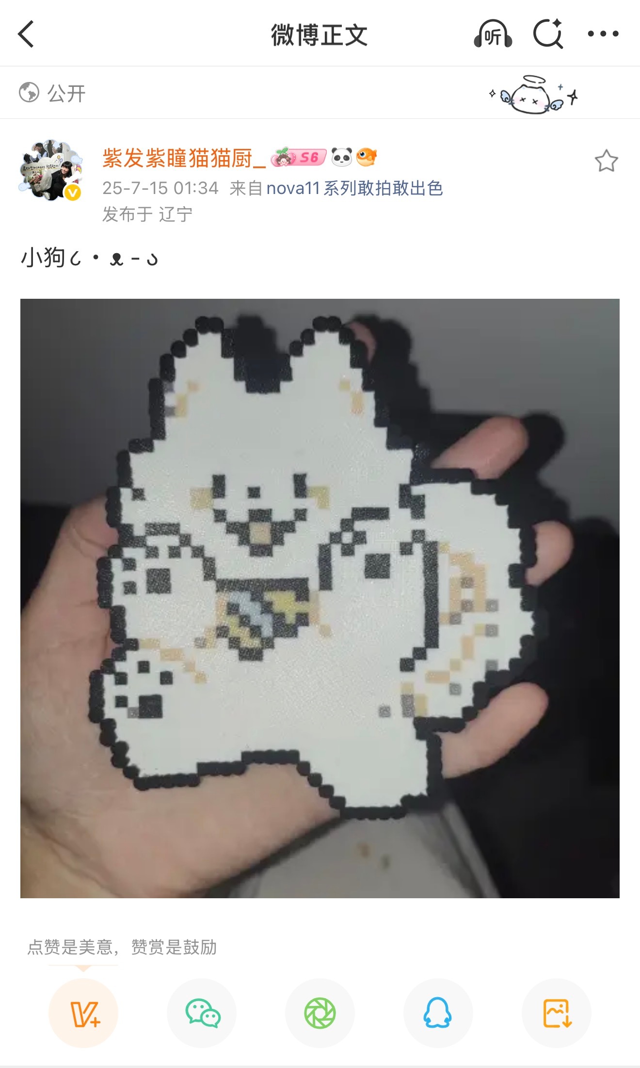 衿天的朋友呢 太阳蛋去年累死累活给我拼了个萨摩耶 我给它挂包上不知道是在机场还是
