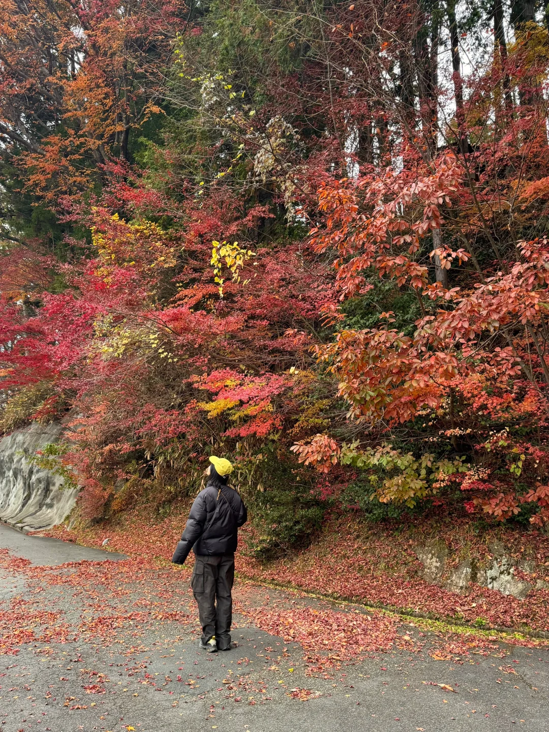 日本高山24h🍁这个美景没带相机实在是遗憾