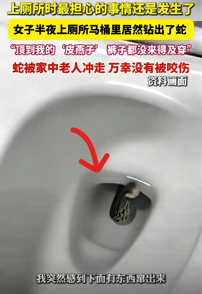 上厕所突然被“顶”！
江苏大姐看清后，
连裤子都没穿就往外冲！

你们敢信吗？江