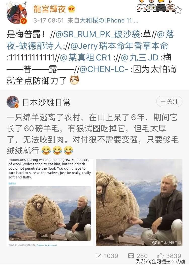 现实版梅普露：因为太怕痛，所以全点防御力了
