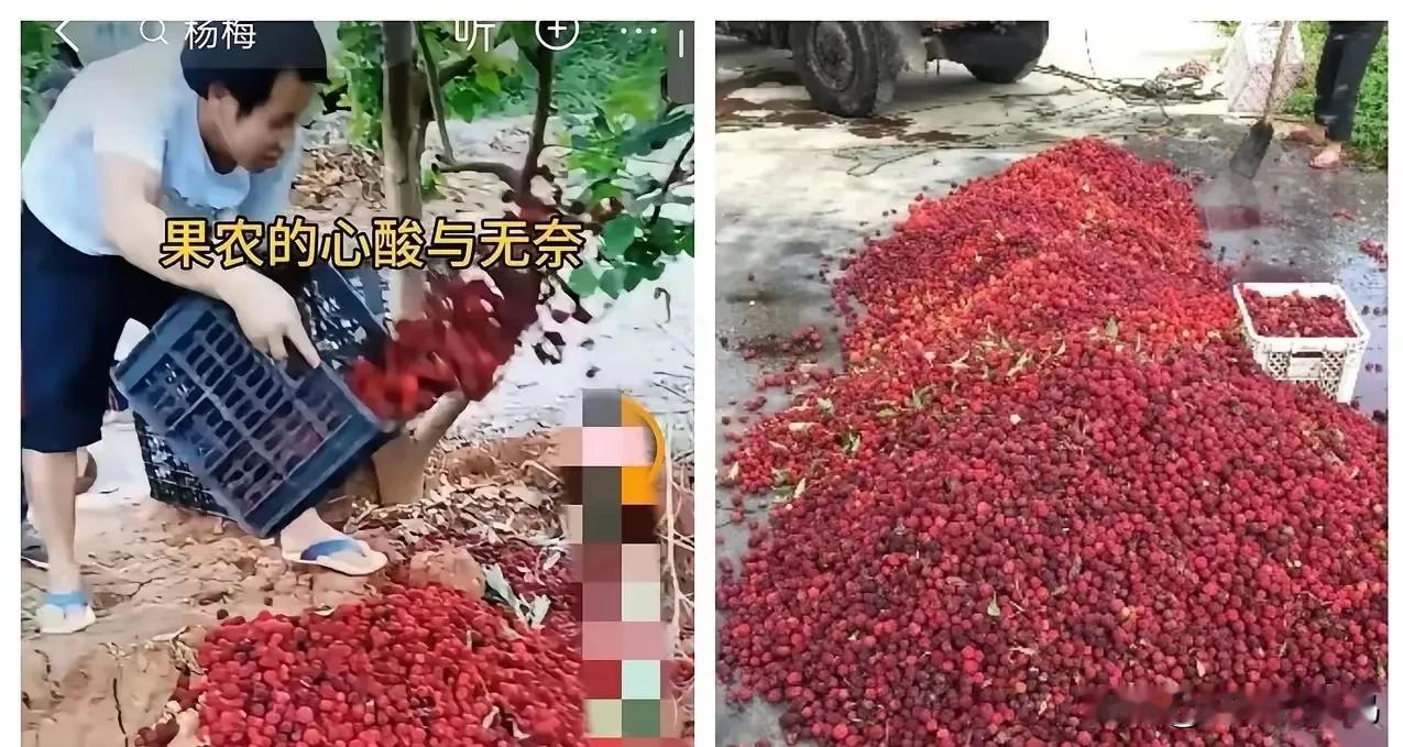 5月17日，福建漳州“药水杨梅”事件持续发酵，市场已出现严重反噬：经销商滞销、外