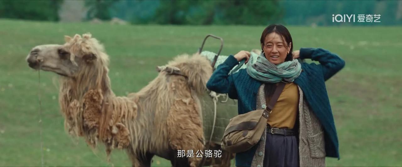 《我的阿勒泰》里，有一个场景特别搞笑。

张凤侠说，她要去买一头母羊，这样每天早