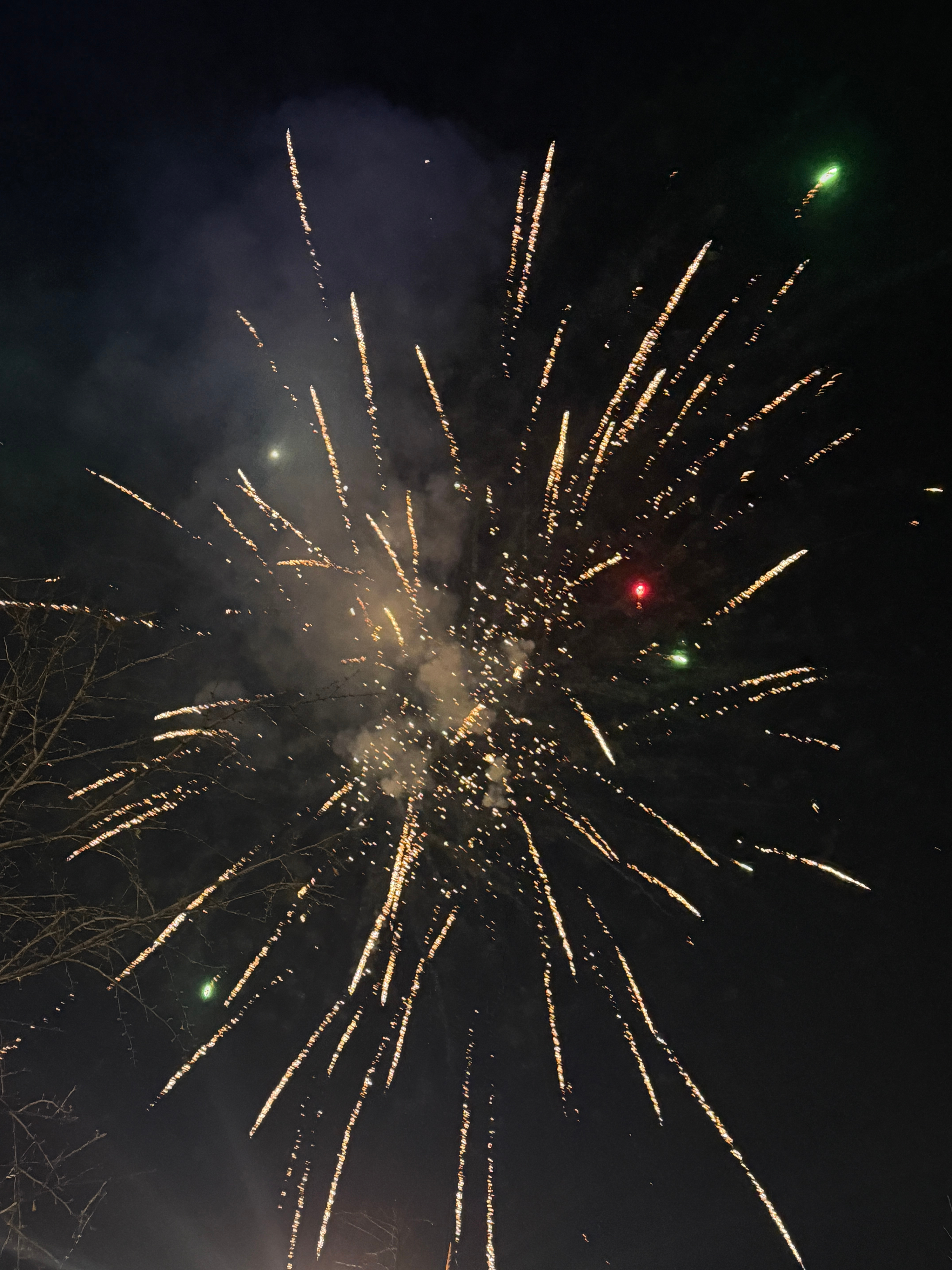 马年大吉🏮🏮🏮 